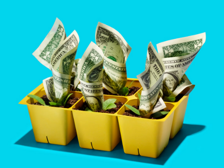 Garden planter with money 'growing' out of soil.