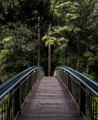 Bridge into the Woods