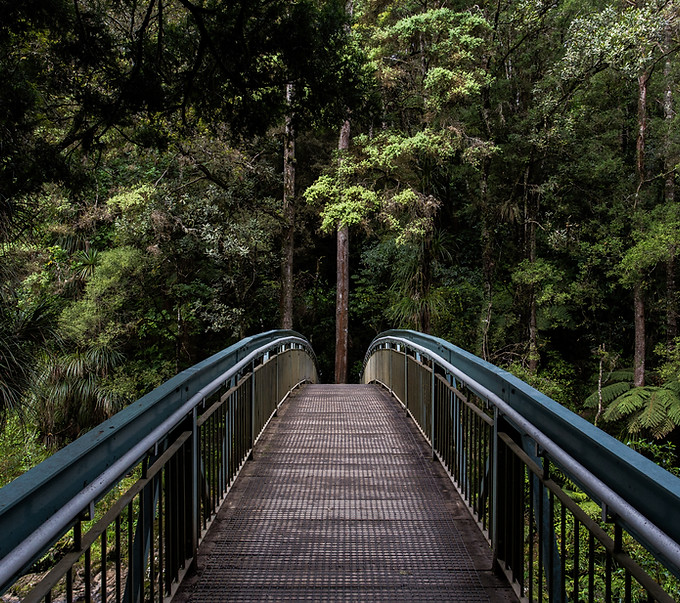 Brücke in den Wald