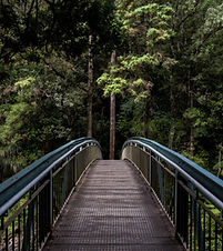 Bridge in i skogen
