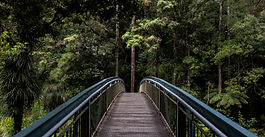 Embracing the Unfamiliar: Navigating the Complex Journey of Letting Go