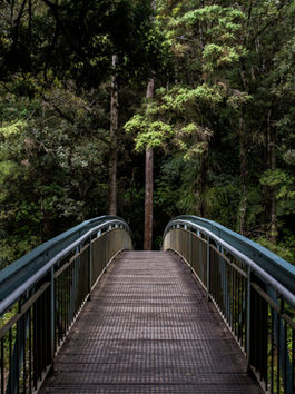 Stepping Into Leadership Without Losing Your Way