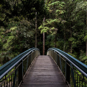 The Charcoal Bridge