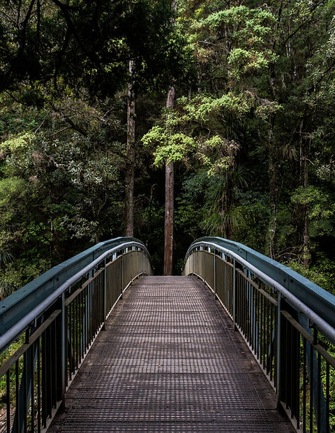 Bridge into the Woods