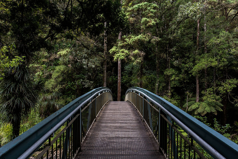 Brücke in den Wald