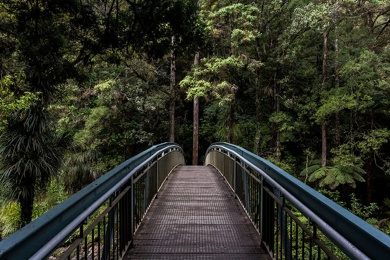 Brücke in den Wald