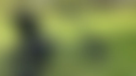 A green low rider trike on grass