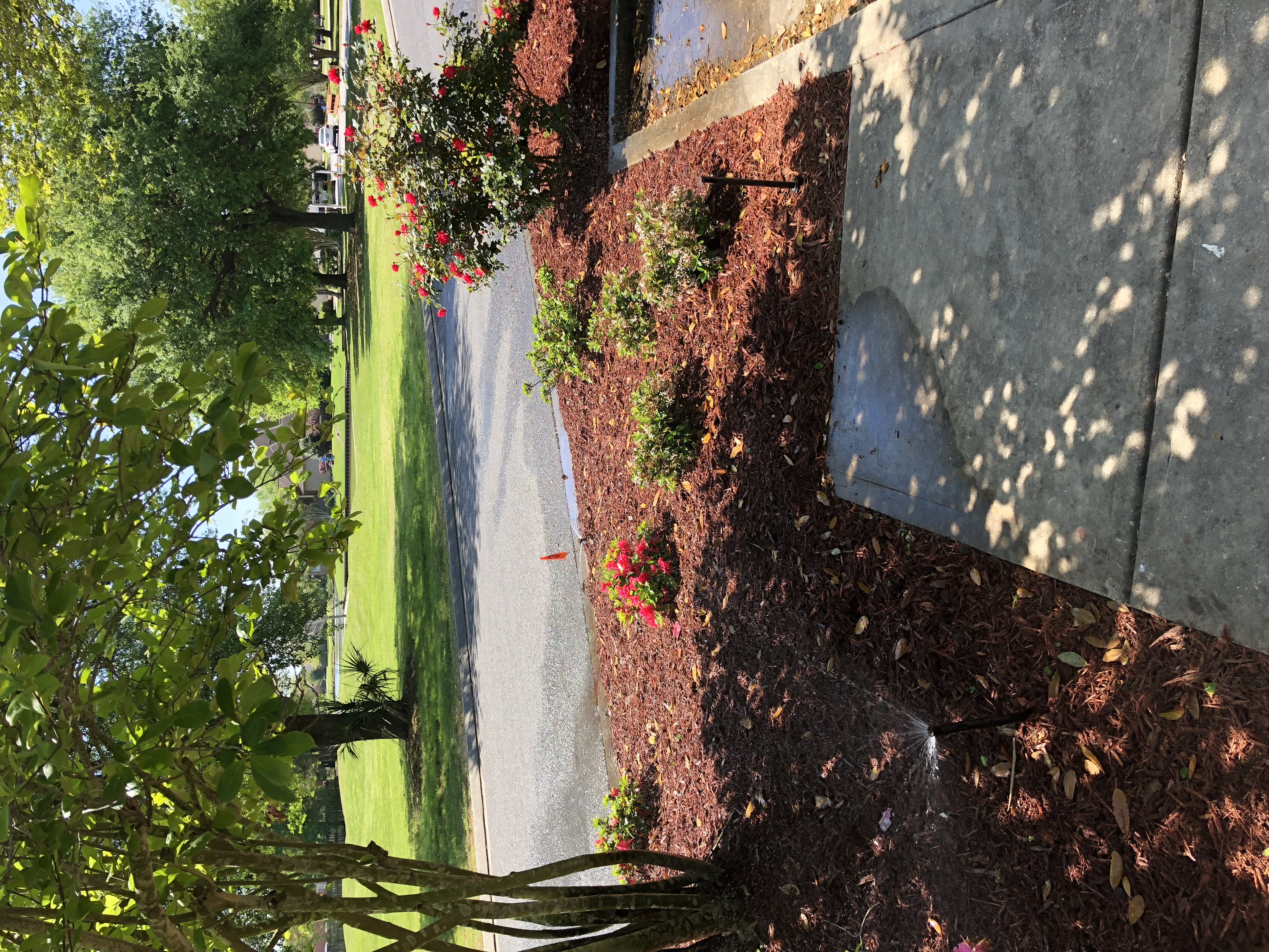 Pelican Point