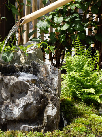 Japanischer Quellstein mit sanft plätscherndem Wasser, gespeist durch ein Bambusrohr, umgeben von Farnen.