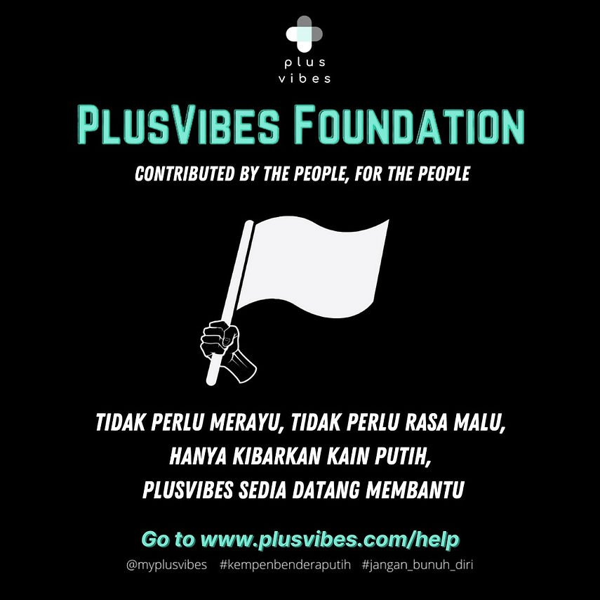Plusvibes foundation