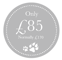 Discount Price_£85-05.png