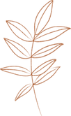 117_burnt_orange.png
