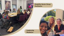 Disability Sector Group Facilitation and Leadership Mediation