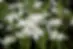 IMG_1457.webp