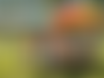 'The Importance of Visually Stunning Food Displays at Public Events'