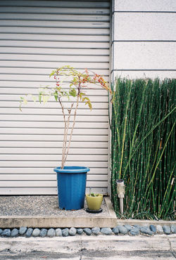 Shinjuku, Japan, 35 mm kodak