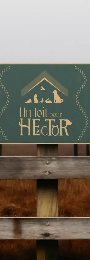 Une identité visuelle pour Un toit pour Hector