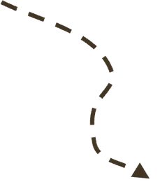 PirateCoveStyle_Arrow1_edited.png