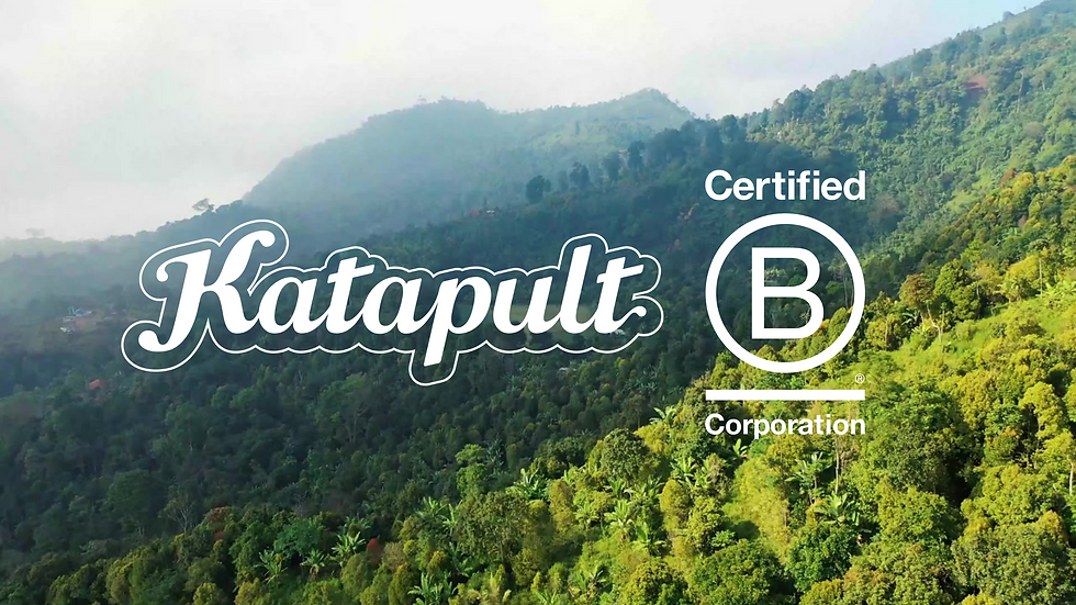 katapult b-corp certified theme park design company