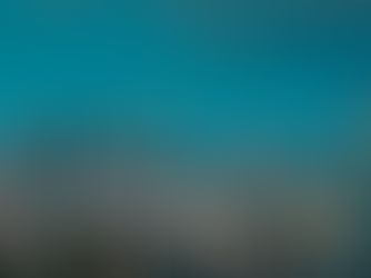 Attorneys Larry and Bryan represented a Shenzhen freight forwarding company in resolving a freight dispute and successfully obtained compensation through litigation mediation