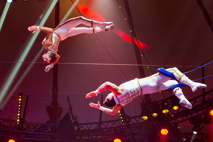 Workshop: Flying Trapeze with Cirkus Brazil Jack | Cirkus Syd