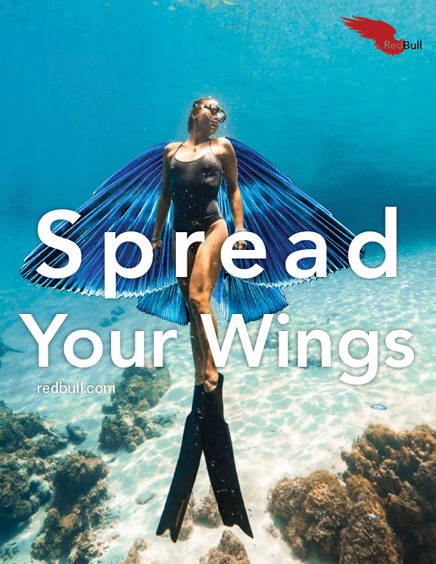 RedBull_Ad Campaign wix