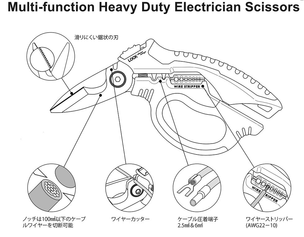 474278771JP.jpg