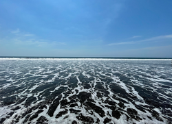 Screen Shot 2023-05-28 at 10.09.21 PM