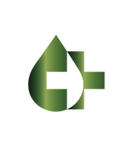 EMS Icon Logo in green