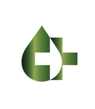 EMS Icon Logo in green