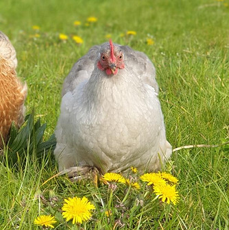 shared image - 2025-09-15T125025.115.jpg