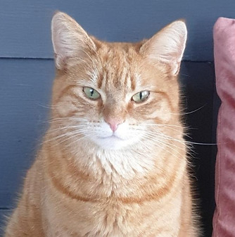 Media - 2025-07-07T073039_edited_edited.