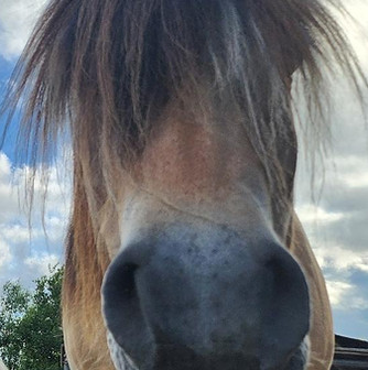 Media - 2025-07-07T073050.381.jpg