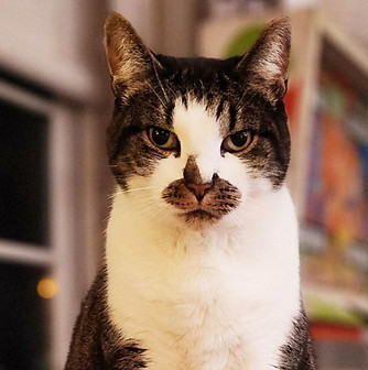 Media - 2025-07-07T073031_edited.jpg