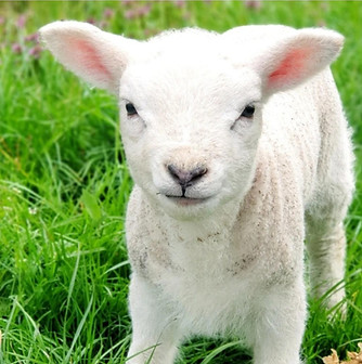 Media - 2025-09-15T131130.147.jpg