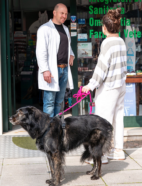 Farmaci per animali.jpg