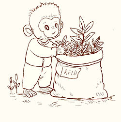 Chimp & tea Harvest Cartoon