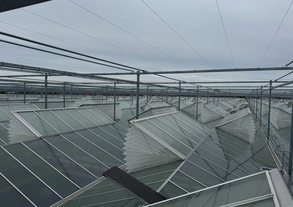 Het monteren van insectengaas in luchtramen van kassen bij project Optiflor. 