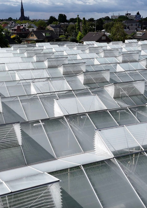 Insectengaas montage project