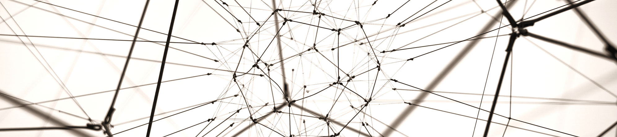 Digital Network_edited.jpg