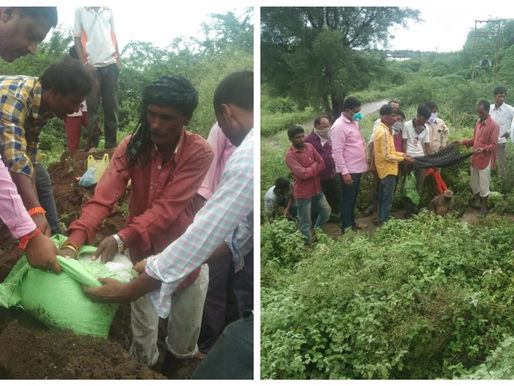 लासुर येथे रेल्वे च्या आवाजाने 2 माकडांचा मृत्यु व 2 जखमी