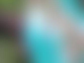 हर्सूल तलावात आढळून आला मृतदेह