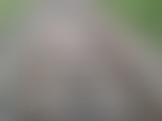 रेल्वे खाली केली एक वयोवृद्ध ने आत्महत्या