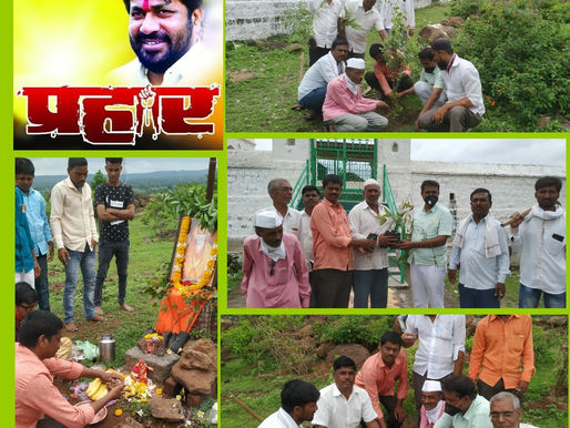 बच्चू भाऊ कडू यांच्या वाढदिवसानिमित्त 300 झाडांचे वृक्ष रोपण कार्यक्रम संपन्न