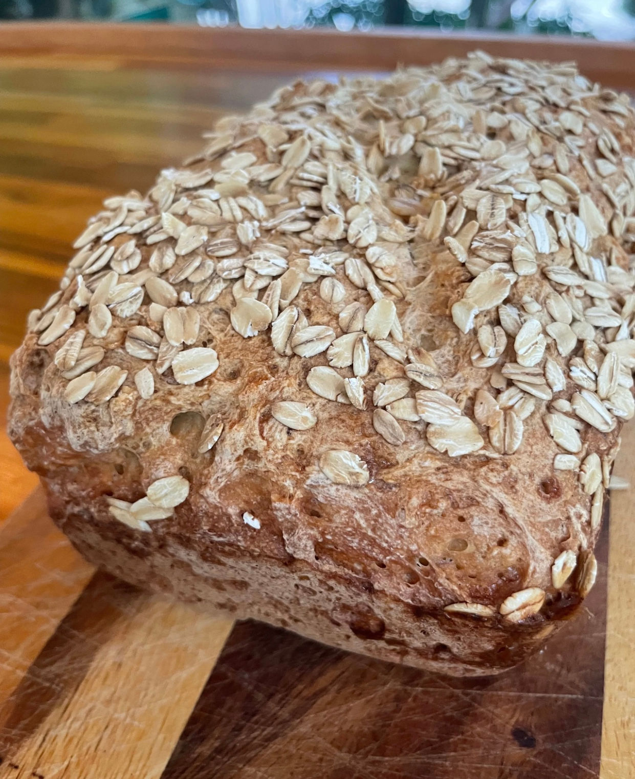 Oatmeal Bread *GF