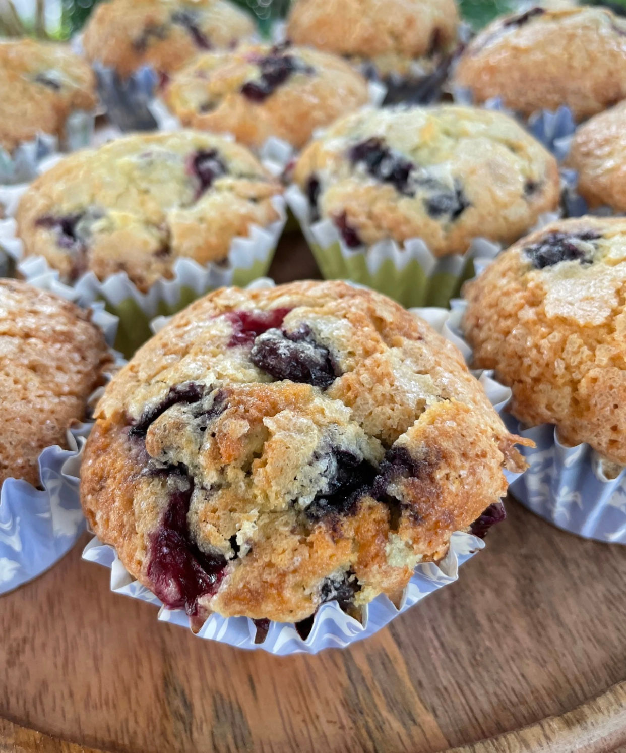 Bountiful Blueberry Muffins *DF