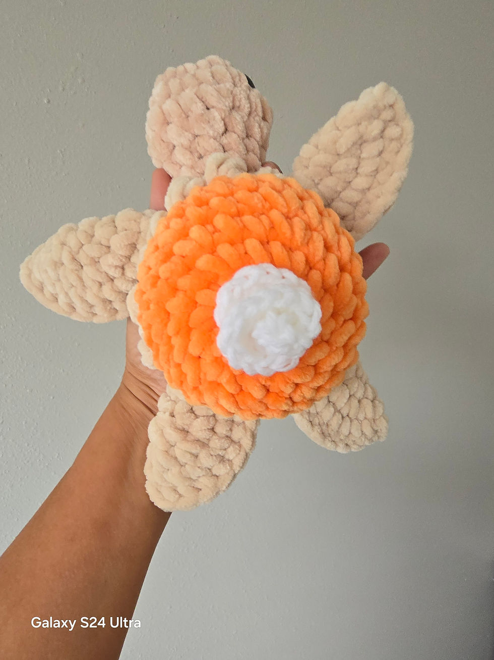 Thumbnail: Pumpkin Pie SeaTurtle 