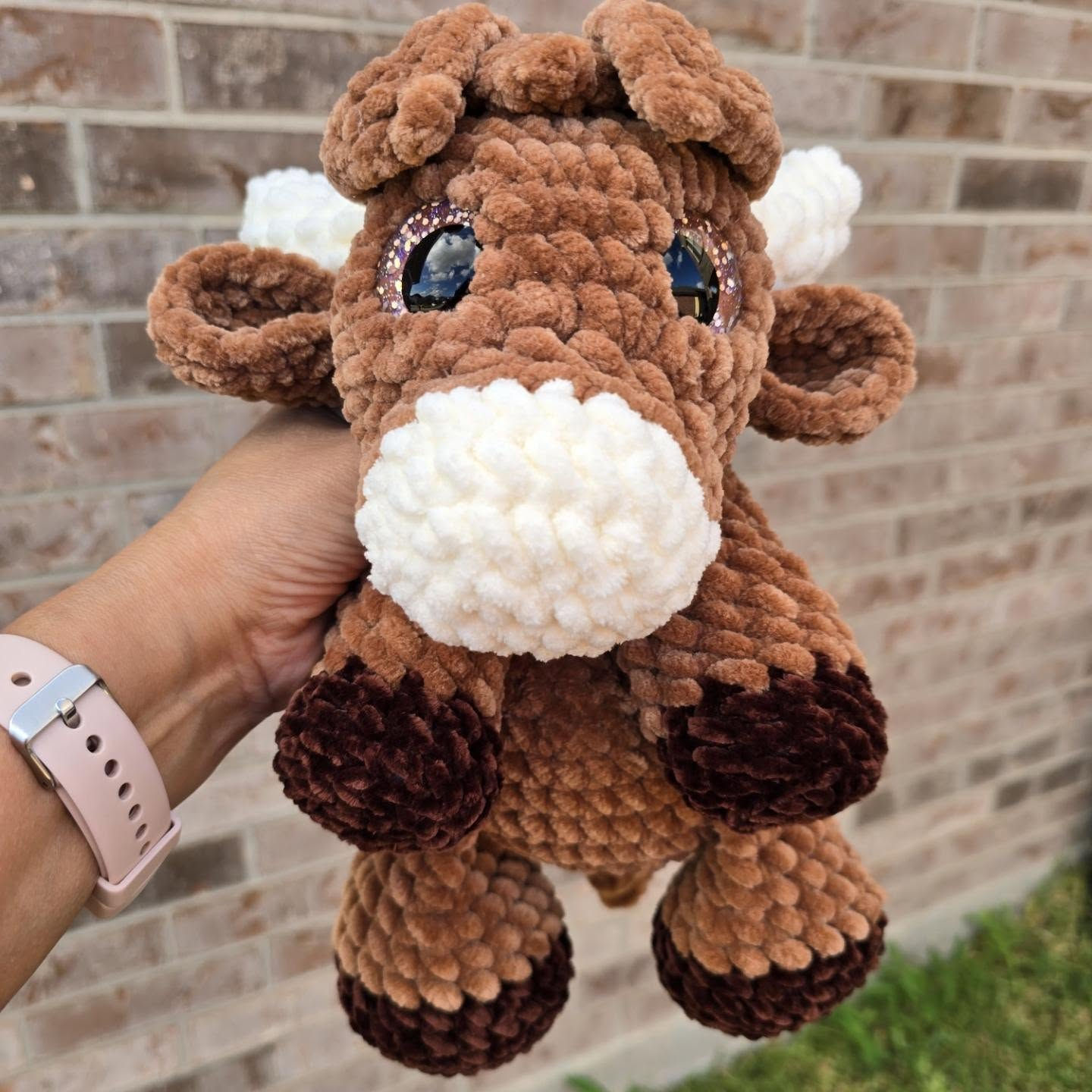 Haley the Highland Cow