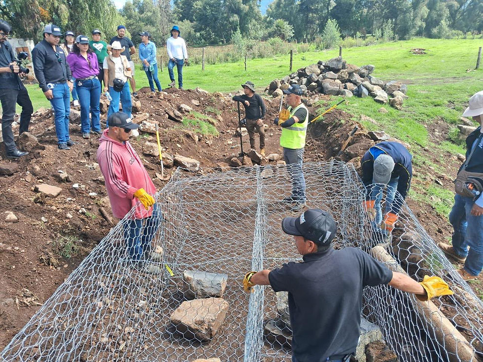 Con 260 presas filtrantes, retienen más de 30 mil metros cúbicos de azolve en lago de Pátzcuaro