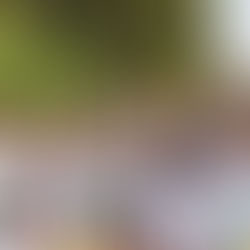 GRAN RECIBIMIENTO DA EL MUNICIPIO DE ZIRACUARETIRO A ARACELI SAUCEDO